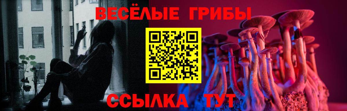 Псилоцибиновые грибы Cubensis  Вход с VPN  Коряжма 